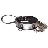 Стильный ошейник с металлическим блеском и поводком - Sitabella - купить с доставкой в Дзержинске