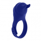 Синее эрекционное виброкольцо с клиторальной подушечкой и пультом ДУ Adjustable Fun Ring - Zero Tolerance - в Дзержинске купить с доставкой
