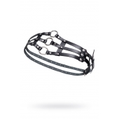 Черный кожаный пояс с кольцами - Pecado - купить с доставкой в Дзержинске