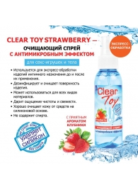 Очищающий спрей для игрушек CLEAR TOY Strawberry - 100 мл. - Биоритм - купить с доставкой в Дзержинске