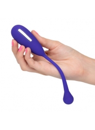 Фиолетовый шарик с электростимуляцией и вибрацией Intimate E-Stimulator Remote Kegel Exerciser - California Exotic Novelties - купить с доставкой в Дзержинске