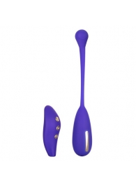 Фиолетовый шарик с электростимуляцией и вибрацией Intimate E-Stimulator Remote Kegel Exerciser - California Exotic Novelties - купить с доставкой в Дзержинске