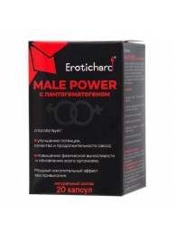 Капсулы для мужчин Erotichard male power с пантогематогеном - 20 капсул (0,370 гр.) - Erotic Hard - купить с доставкой в Дзержинске