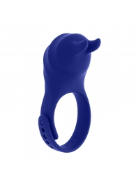 Синее эрекционное виброкольцо с клиторальной подушечкой и пультом ДУ Adjustable Fun Ring - Zero Tolerance - в Дзержинске купить с доставкой