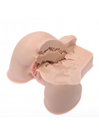 Мастурбатор-полуторс Naked Factory Kate - Naked Factory - в Дзержинске купить с доставкой