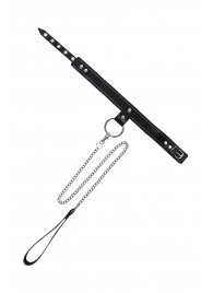 Черный узкий однослойный ошейник с серебристым поводком-цепочкой - Pecado - купить с доставкой в Дзержинске