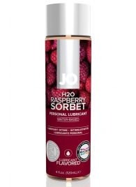 Лубрикант на водной основе с ароматом малины JO Flavored Raspberry Sorbet - 120 мл. - System JO - купить с доставкой в Дзержинске