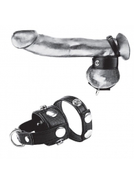 Утяжка для мошонки и пениса Cock Ring With 1  Ball Stretcher And Optional Weight Ring - BlueLine - купить с доставкой в Дзержинске