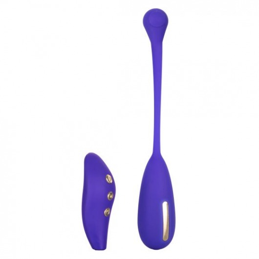 Фиолетовый шарик с электростимуляцией и вибрацией Intimate E-Stimulator Remote Kegel Exerciser - California Exotic Novelties - купить с доставкой в Дзержинске