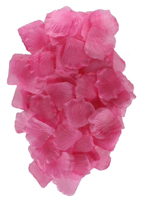 Эротический набор FANTASTIC PURPLE SEX TOY KIT - Toy Joy - купить с доставкой в Дзержинске