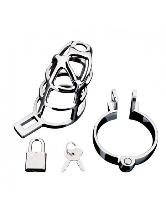 Серебристая металлическая клетка для члена с замком Enslave Cock Cage - BlueLine - купить с доставкой в Дзержинске