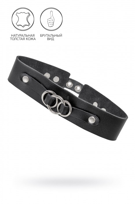 Черный чокер-ошейник со связанными кольцами на подложке - Pecado - купить с доставкой в Дзержинске