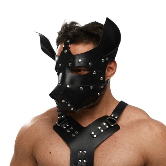 Черная кожаная маска «Собака» - Crazy Handmade - купить с доставкой в Дзержинске