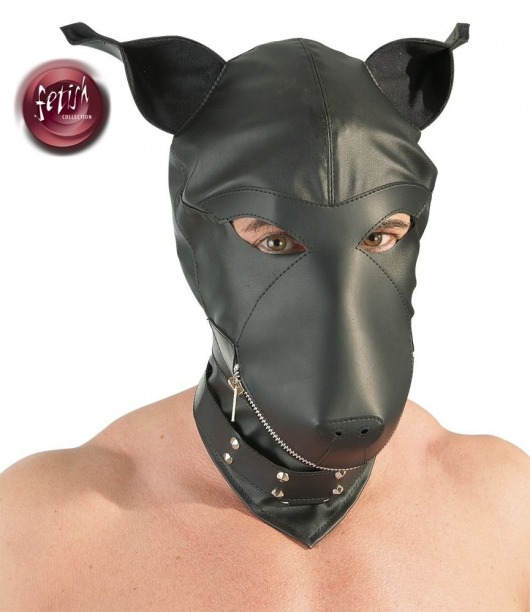 Шлем-маска Dog Mask в виде морды собаки - Orion - купить с доставкой в Дзержинске