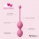 Набор из 3 розовых вагинальных шариков FemmeFit Advanced Pelvic Muscle Training Set - FeelzToys в Дзержинске Набор из 3 розовых вагинальных шариков FemmeFit Advanced Pelvic Muscle Training Set - FeelzToys